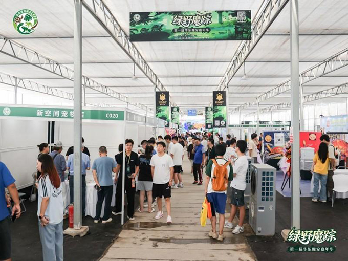 首届华东魔宠展圆满落幕 从“地摊”到专业盛会，解锁魔宠行业新活力