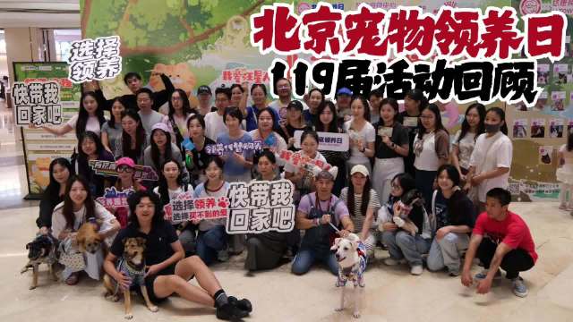 第119届北京宠物领养日圆满结束，多只宠物找到新家