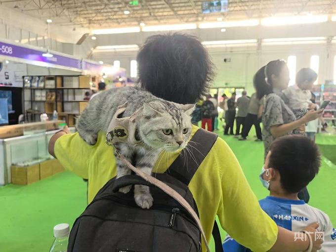 第二届中国华北（内蒙古）宠物产业博览会暨宠物嘉年华圆满落幕