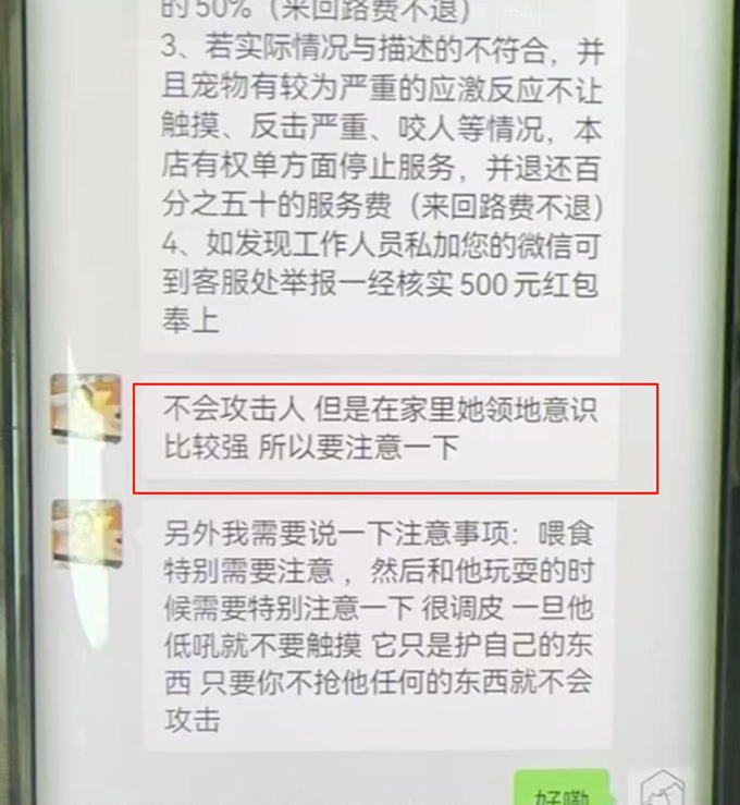 贵州25岁女子上门代喂宠物狗被咬伤遭毁容，狗主人称不担全责