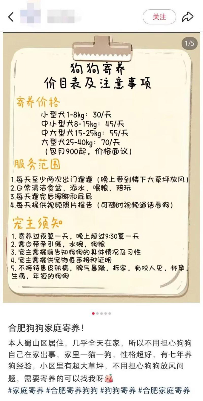 国庆长假临近，合肥宠物寄养市场进入预订高峰