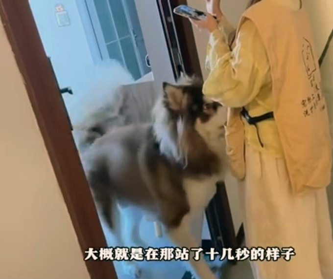 贵州25岁女子上门代喂宠物狗被咬伤遭毁容，狗主人称不担全责