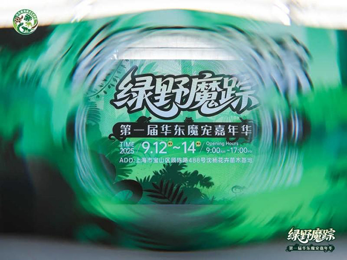 首届华东魔宠展圆满落幕 从“地摊”到专业盛会，解锁魔宠行业新活力