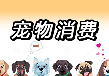 “毛孩子”撑起N条新赛道：“90后”与“00后”在养宠人群中占比超六成