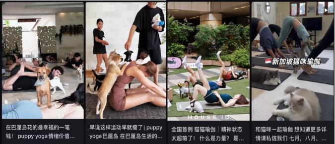 这届年轻人，流行把宠物送进健身房