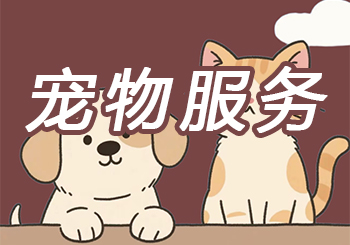 宠物服务见证消费变迁