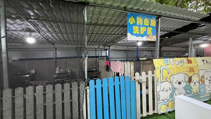 这届年轻人，流行把宠物送进健身房