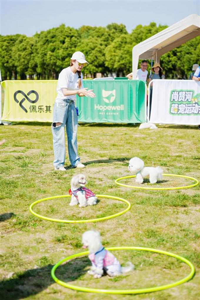 无锡“宠”出新高度：30亿元宠物产业蓝图将开启