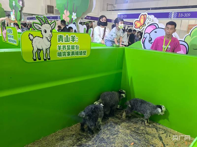 第二届中国华北（内蒙古）宠物产业博览会暨宠物嘉年华圆满落幕