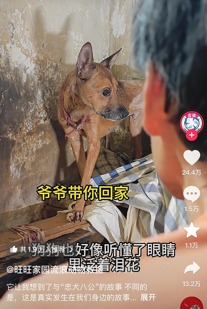 重庆一独居老人离世，宠物狗流泪不愿离开