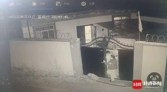 两棕熊夜闯小院叼走流浪狗，屋内人30秒帮它“熊口脱险”