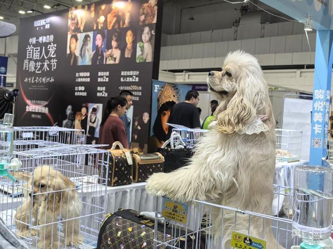 第二届中国华北（内蒙古）宠物产业博览会暨宠物嘉年华圆满落幕