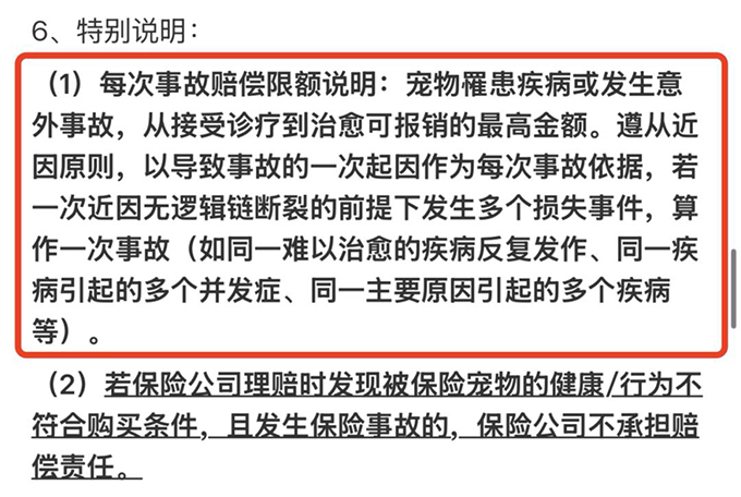 年轻人养宠新标配：给“毛孩子”买保险