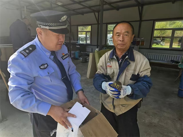 宠物店门口“空降”雕鸮幼崽，警民携手救助帮其安“新家”