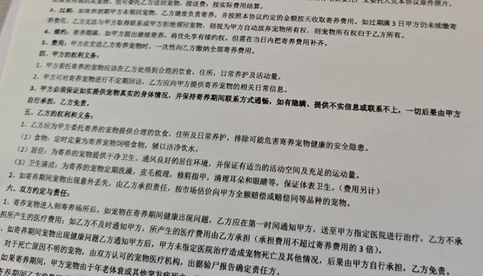 国庆长假临近，合肥宠物寄养市场进入预订高峰