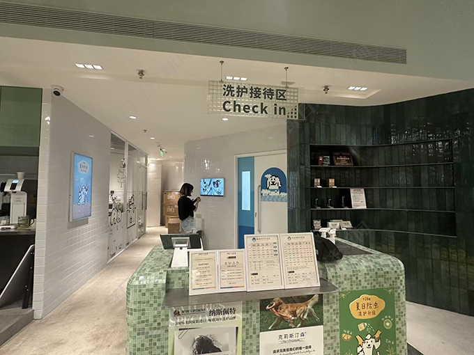 金店退租，商场欲引入宠物摄影店 一只猫卖5万8，毛孩子成了商场新流量密码？
