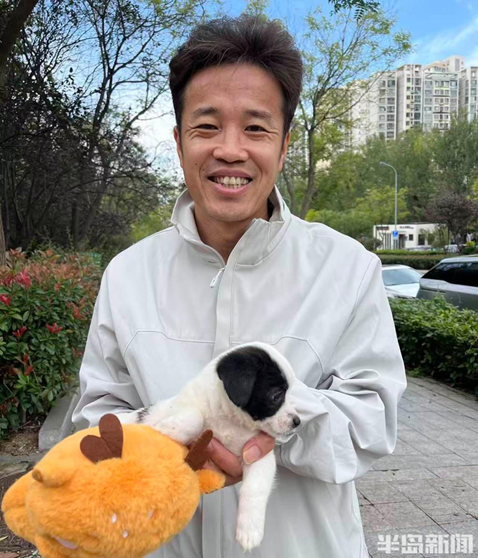 流浪猫狗数量增多，救助压力陡增！流浪动物中心盼援手