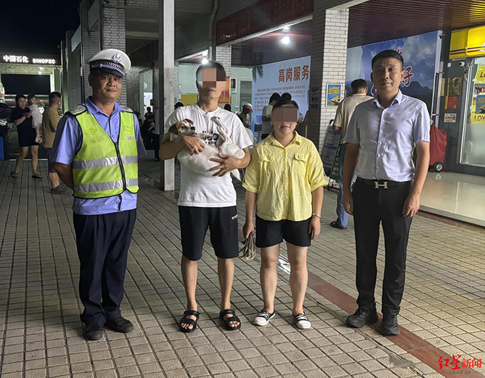 国庆“被弃高速”的小狗主人找来了！主人：不是故意丢弃，特意绕行数十公里来找它