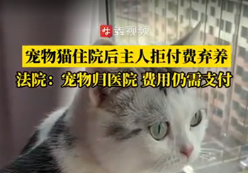 宠物猫治疗后主人拒付费弃养，法院：宠物归医院，费用原主付