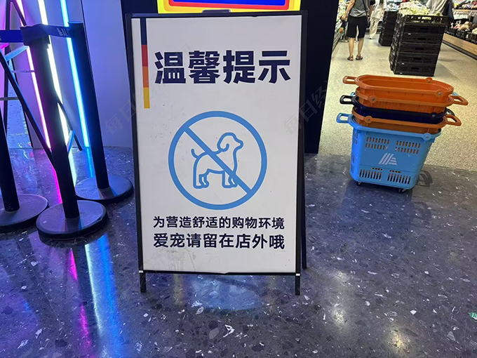 金店退租，商场欲引入宠物摄影店 一只猫卖5万8，毛孩子成了商场新流量密码？
