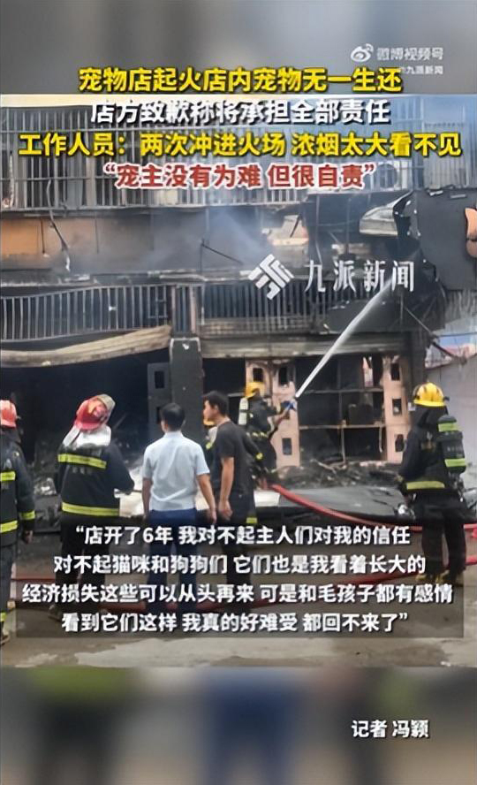 广东一宠物店起火，店内宠物无一生还