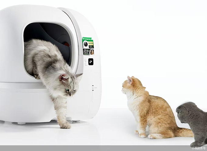 细分领域增长，宠物经济迎来国产品牌爆发