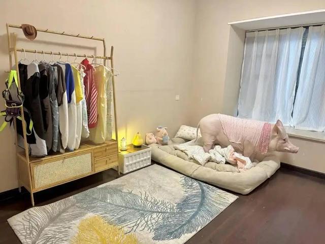 成都情侣街头“遛猪”吸睛，130斤的宠物有专属“猪圈”，每月伙食费上千元