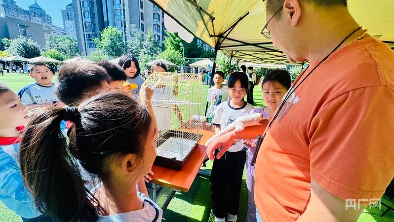 让萌宠遇见童心,北京市丰台区丽泽小学举办第二届宠物节 让萌宠遇见童心,北京市丰台区丽泽小学举办第二届宠物节