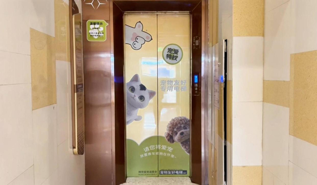 济南：宠物友好商圈“上新” 解锁消费新场景