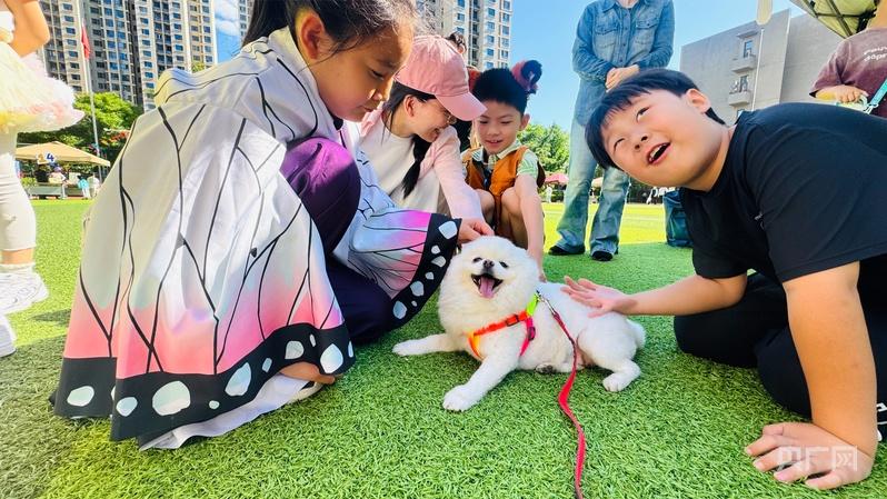 让萌宠遇见童心,北京市丰台区丽泽小学举办第二届宠物节 让萌宠遇见童心,北京市丰台区丽泽小学举办第二届宠物节