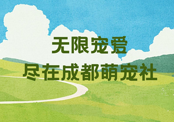 瞄准百万宠主市场！“成都萌宠社”垂类媒体矩阵正式上线