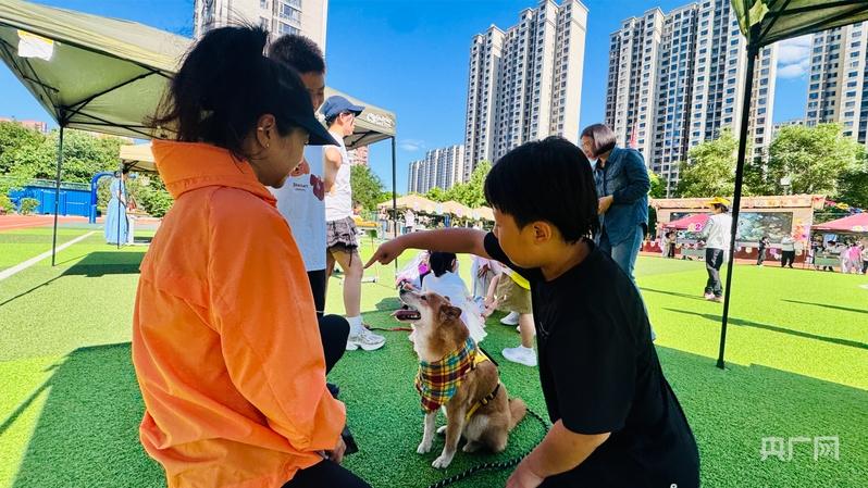 让萌宠遇见童心,北京市丰台区丽泽小学举办第二届宠物节 让萌宠遇见童心,北京市丰台区丽泽小学举办第二届宠物节