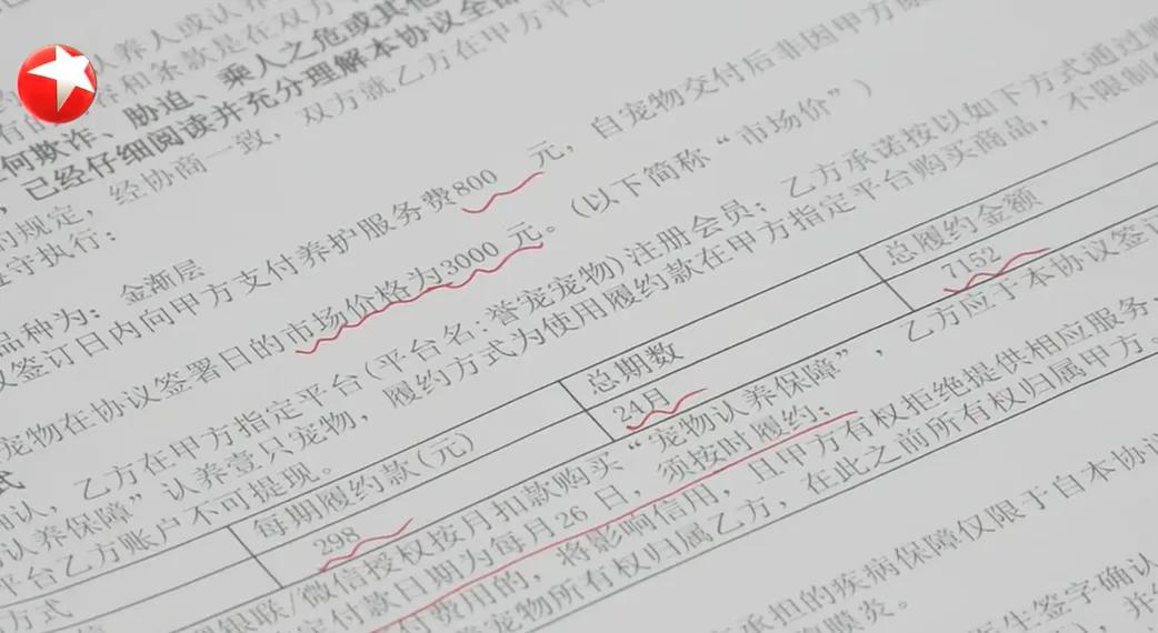 800元买猫背上近8000元“猫贷”:需支付24期“分期付款”总共7152元 800元买猫背上近8000元“猫贷”:需支付24期“分期付款”总共7152元