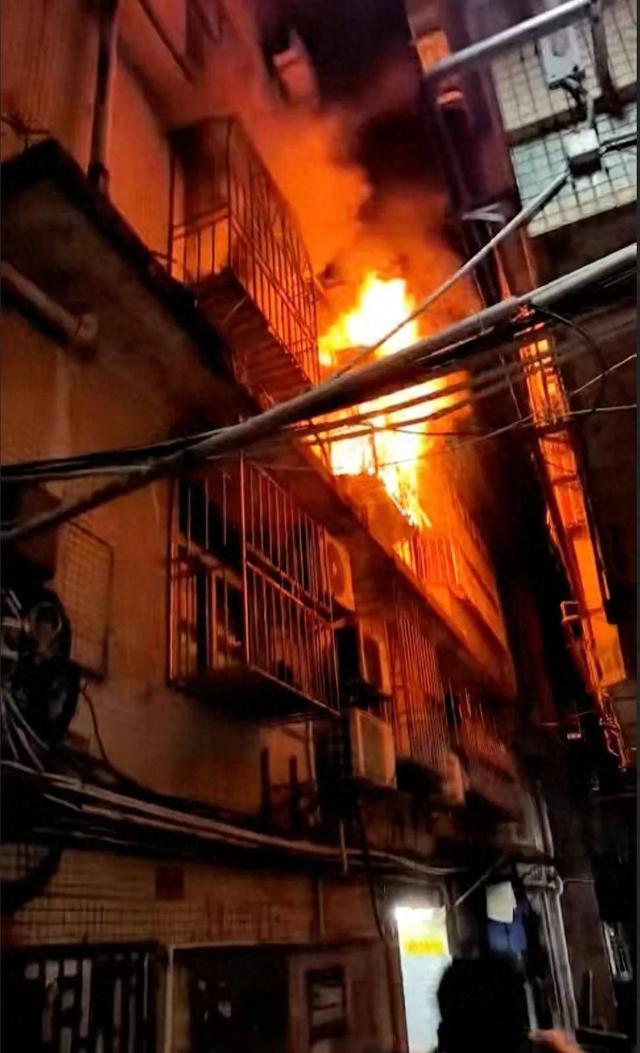 深圳一住宅发生火灾!宠物猫叫醒熟睡主人,一家人成功逃生 深圳一住宅发生火灾!宠物猫叫醒熟睡主人,一家人成功逃生