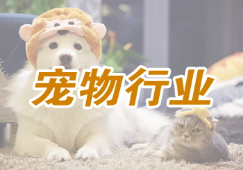 河南宠物经济催生新职业，20万从业者撬动就业新蓝海