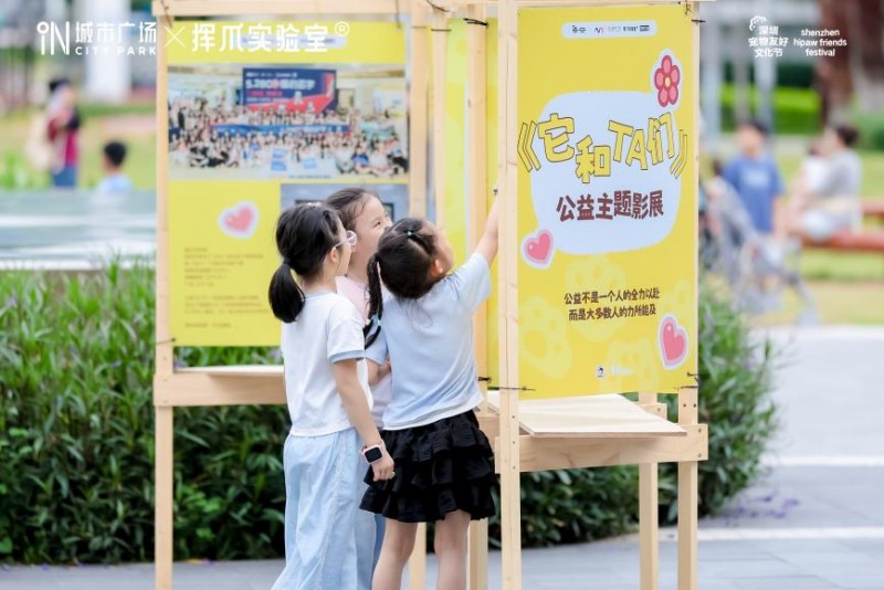第二届深圳宠物友好文化节圆满落幕 第二届深圳宠物友好文化节圆满落幕