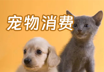 宠物消费再升级！“宠物养老”“带宠出行”成新增长点