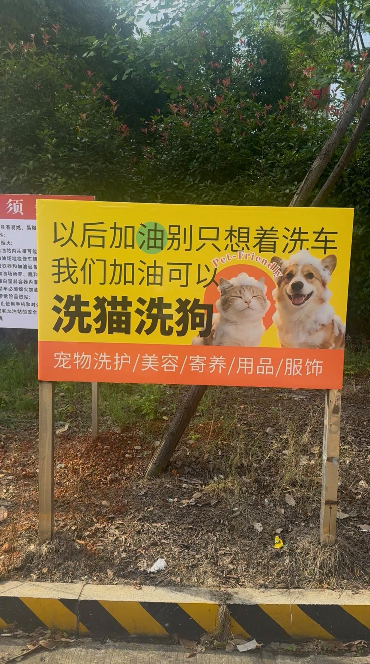 中石化在长沙加油站开了2家宠物店！未来将从长沙逐步扩张至湖南其他市州