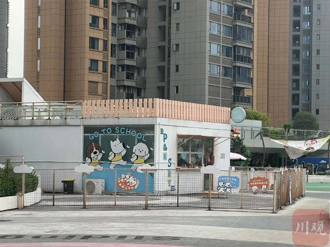 校车接送、社交训练……宠物也上幼儿园，市场有多热？
