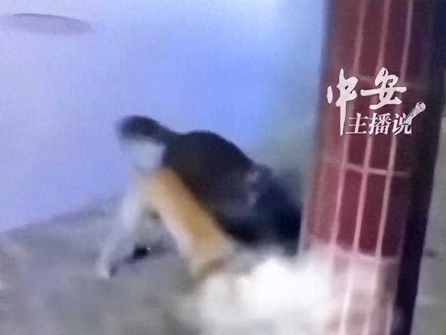 女子将宠物猫拴在门口,被宠物店老板指使的三只烈性犬撕咬致死! 女子将宠物猫拴在门口,被宠物店老板指使的三只烈性犬撕咬致死!
