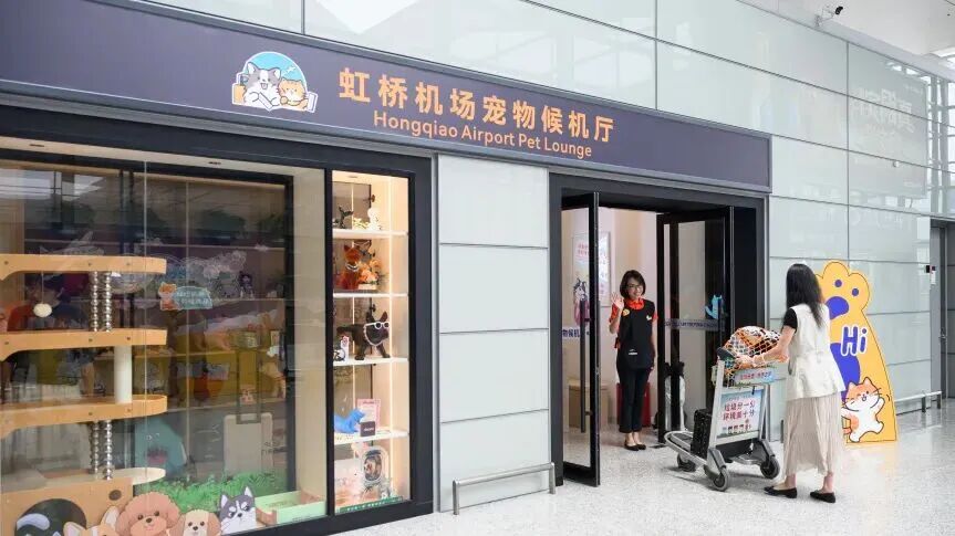上海机场“萌宠同行”服务再升级,虹桥机场启用宠物专属候机厅 上海机场“萌宠同行”服务再升级,虹桥机场启用宠物专属候机厅