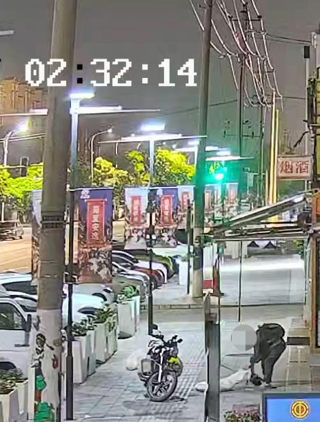 凌晨等主人下班的柴犬被人用弩射击后偷走,嫌疑人已落网 凌晨等主人下班的柴犬被人用弩射击后偷走,嫌疑人已落网