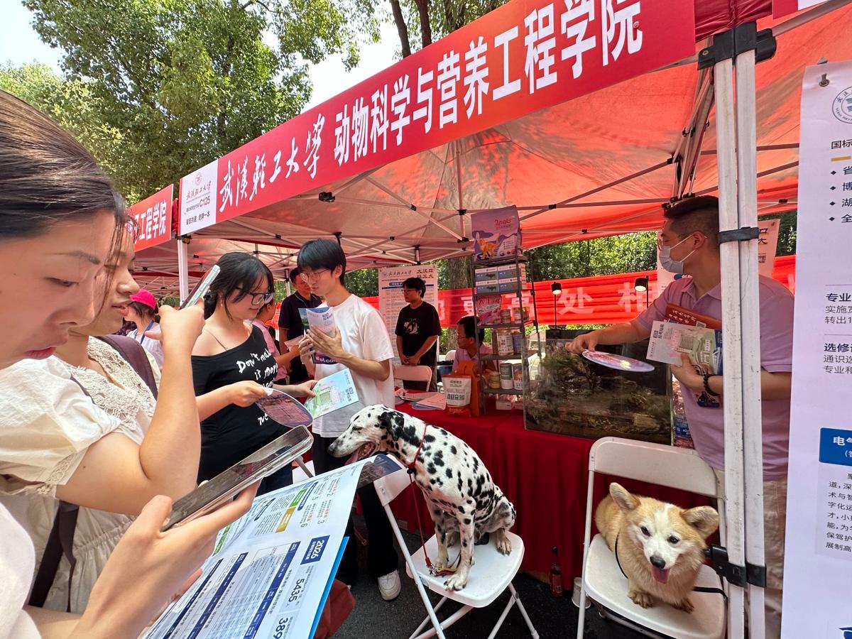 就业率连续五年超97%，供需比1:9，这个“宝藏专业”迎来黄金发展期