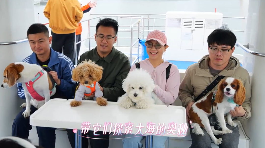 青岛打造首个“宠物友好”码头，宠物也能坐船出海