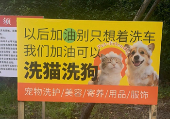中石化在长沙加油站开了2家宠物店！未来将从长沙逐步扩张至湖南其他市州