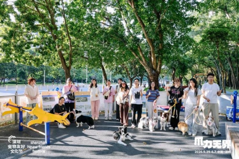 第二届深圳宠物友好文化节圆满落幕 第二届深圳宠物友好文化节圆满落幕