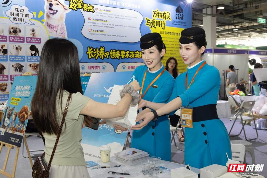 携宠出行不再焦虑 宠博会厦航推介“宠物进客舱”服务 携宠出行不再焦虑 宠博会厦航推介“宠物进客舱”服务