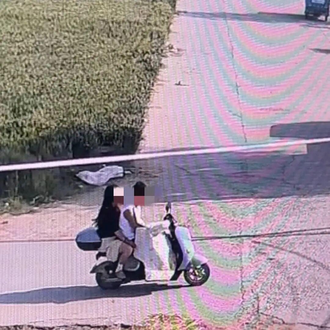 最新进展！警方已对网红边牧“锄头”被盗走转卖宰杀一事刑事立案