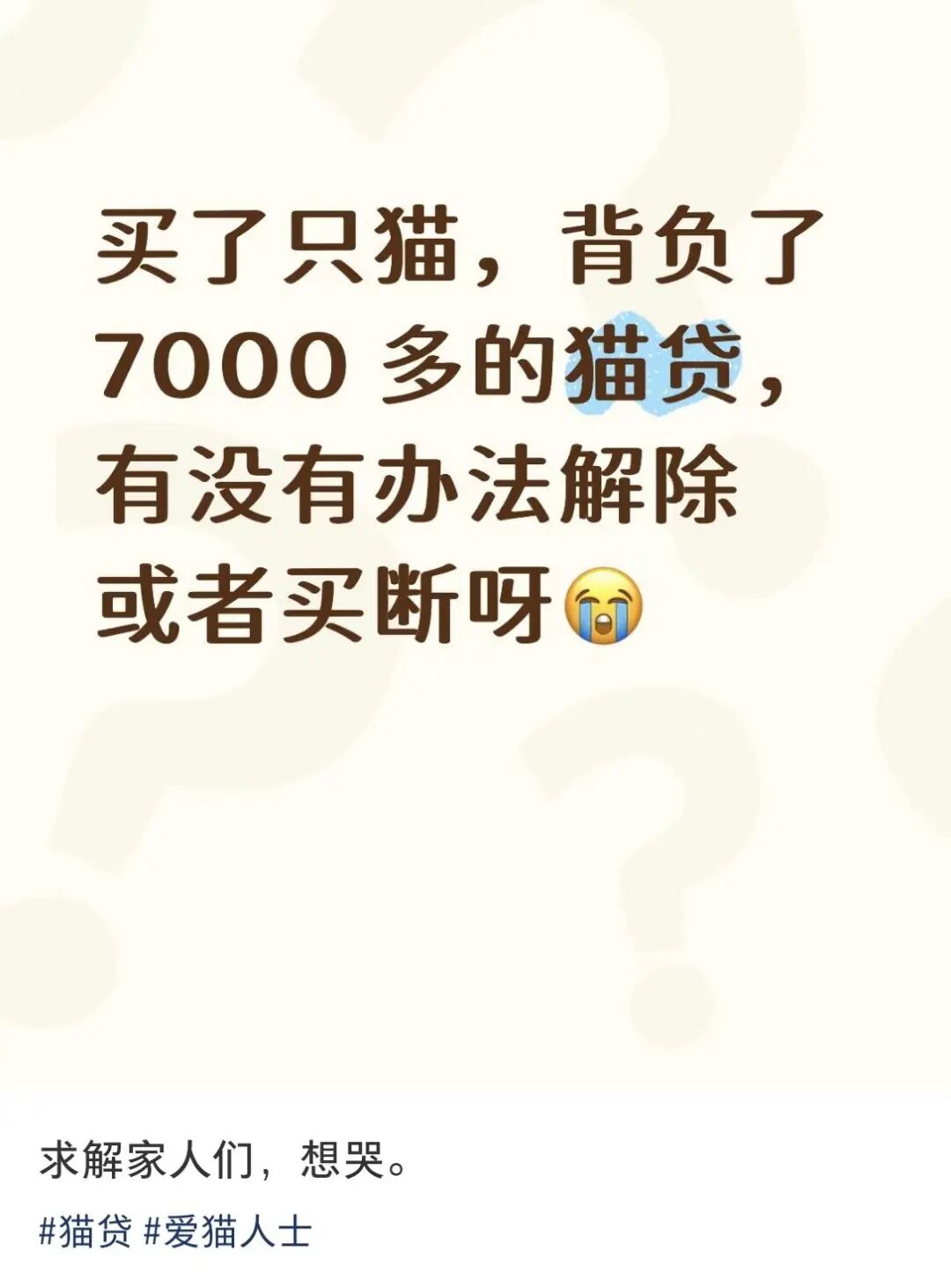 “0元领养猫咪”?记者调查:大批养猫爱好者遇捆绑消费,误入“宠物贷”圈套 “0元领养猫咪”?记者调查:大批养猫爱好者遇捆绑消费,误入“宠物贷”圈套
