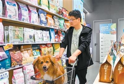 智能家电科学喂养，我的宠物AI养
